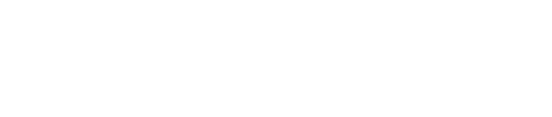 Silktide logo light